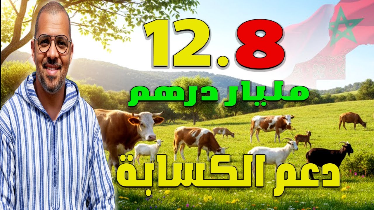 كيف تستفيد من دعم 12.8 مليار درهم لمربي الماشية؟