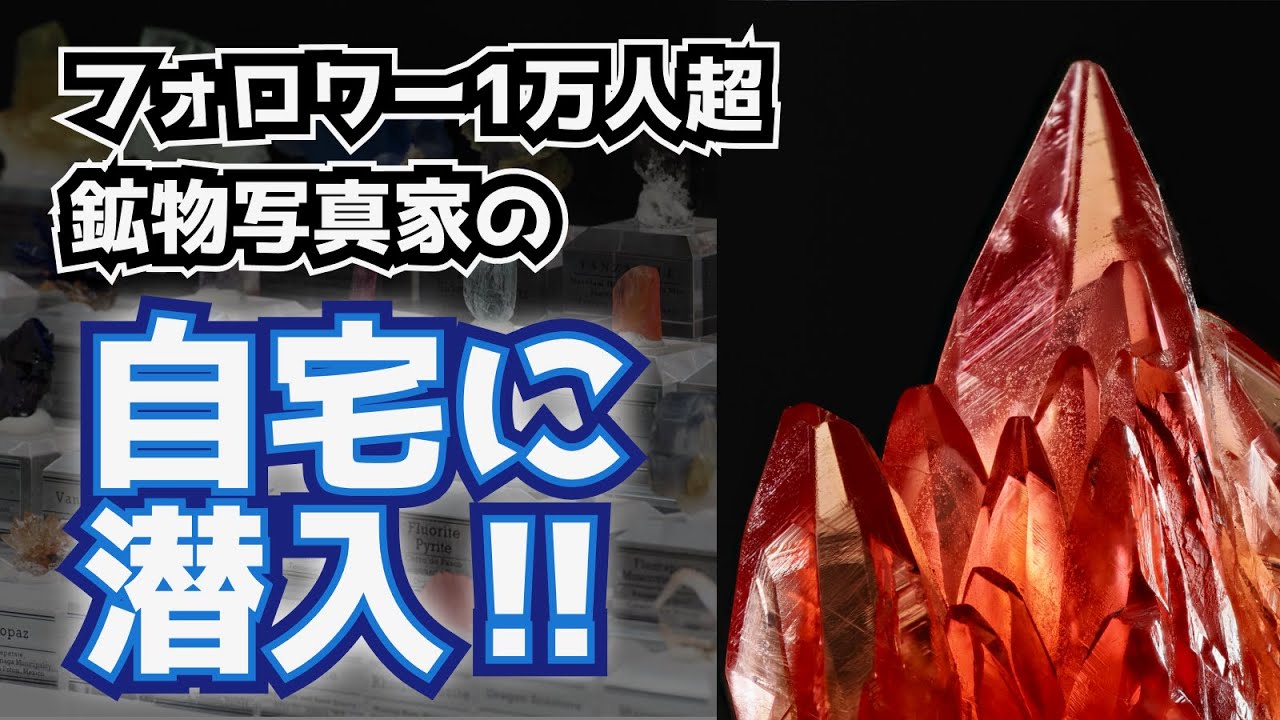 鉱物棚、見せてもらってイイですか？