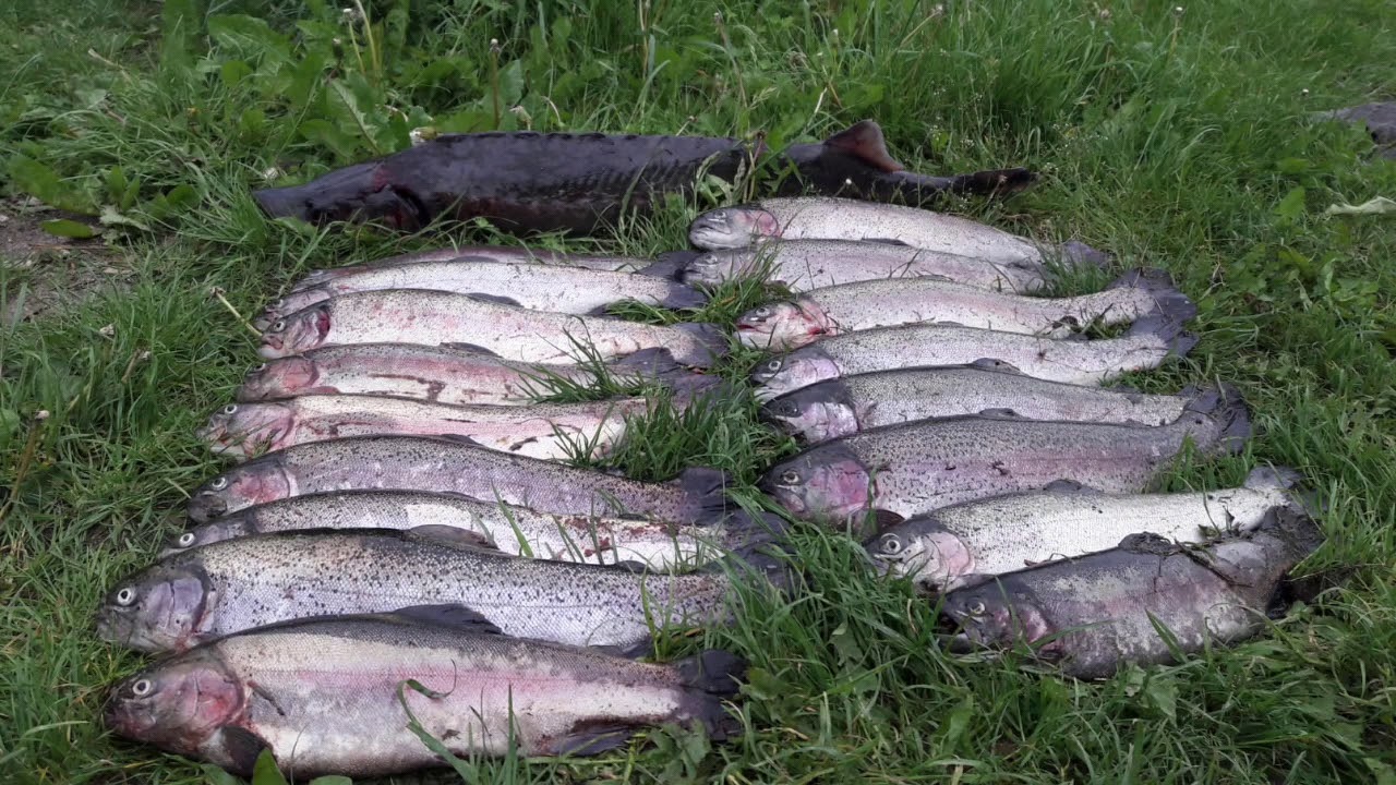 24h Angeln extrem...🎣🐟 Brokenlande