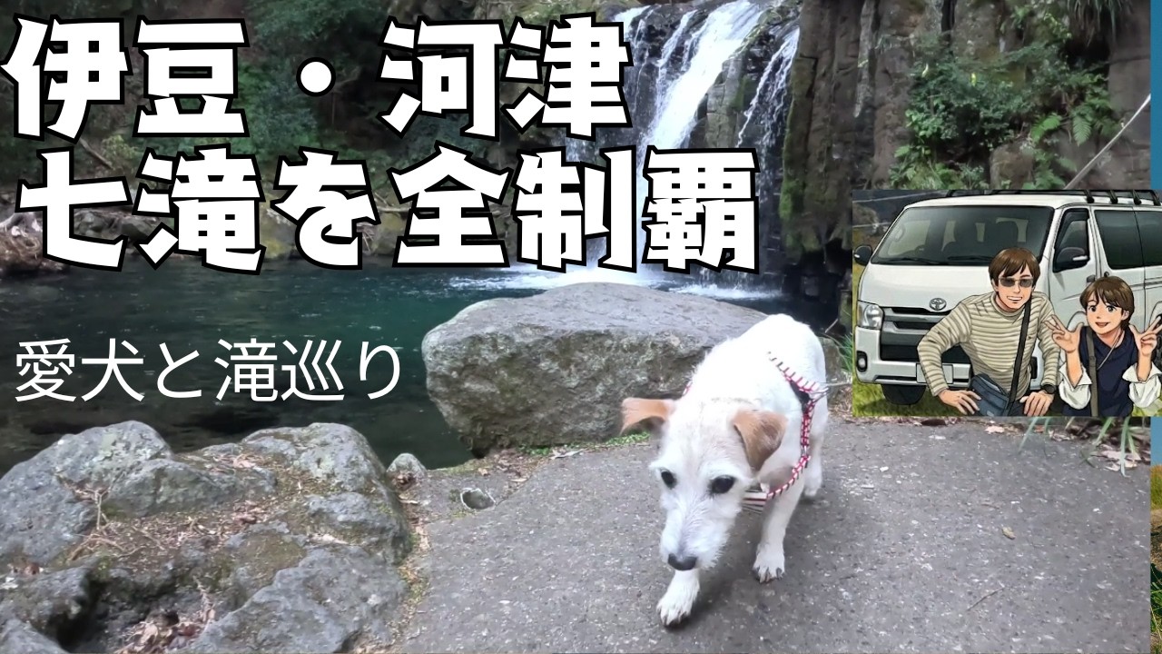 【伊豆】河津七滝めぐり！犬連れでも歩きやすい？リアルな道中をレポート