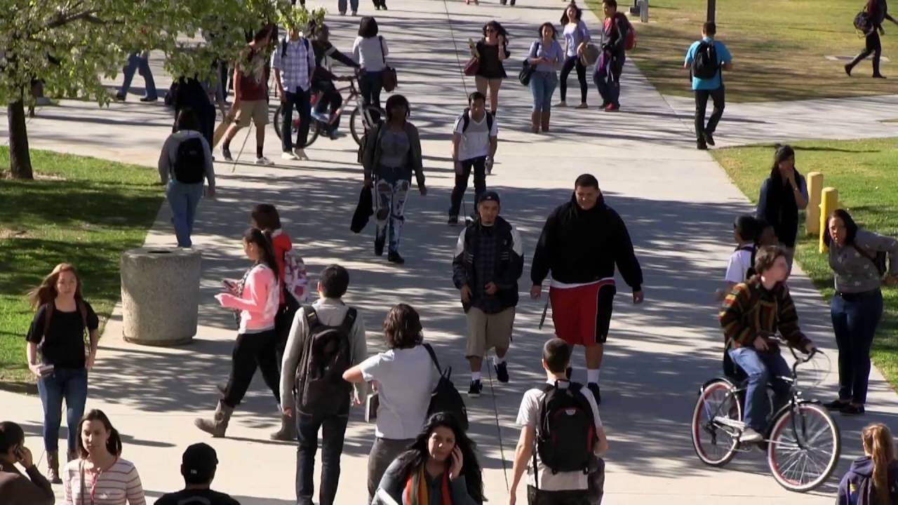 Advanced Placement & Higher Education