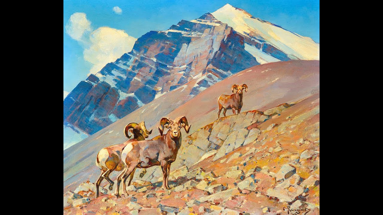 The Wildlife and Mountain Paintings of Carl Rungius (1869-1959)