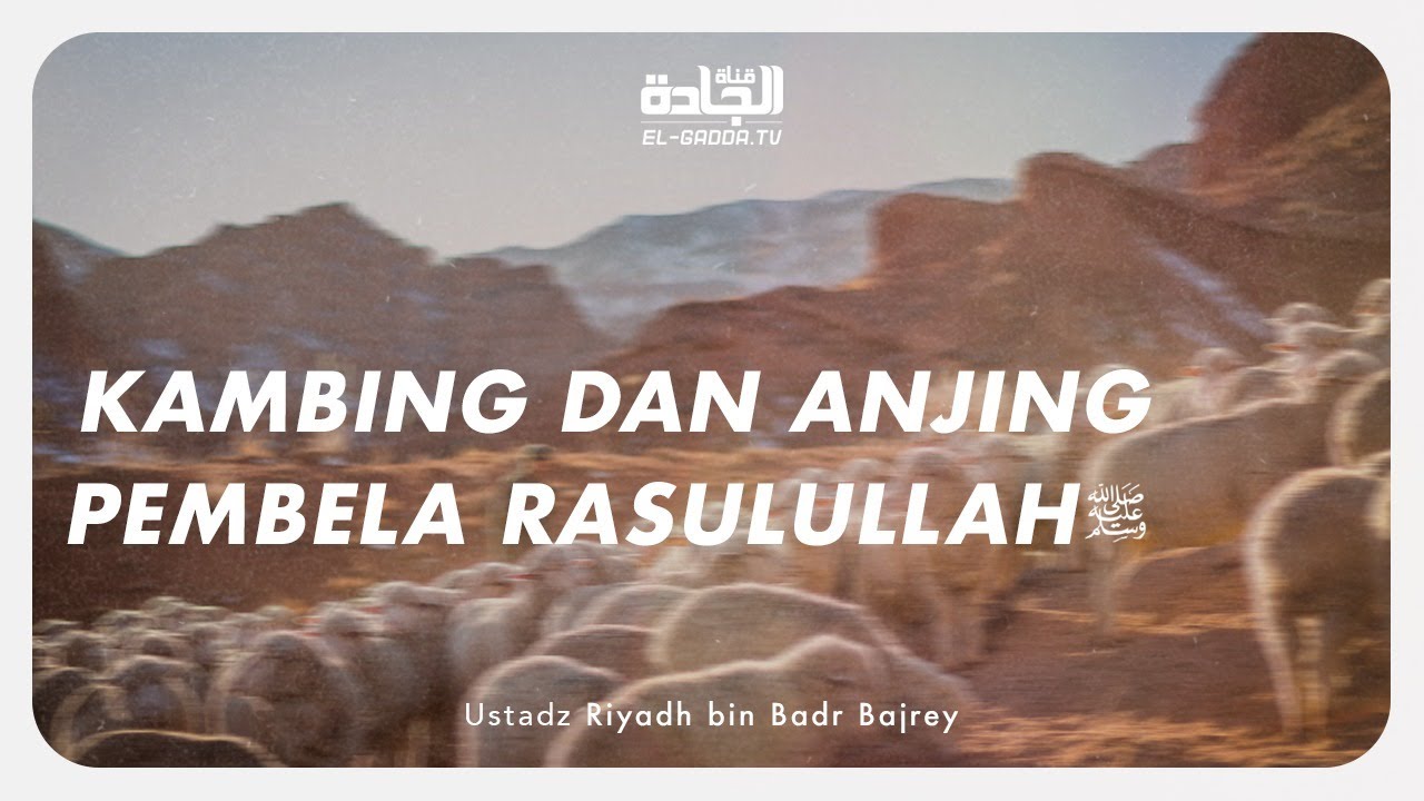 Kambing dan Anjing Pembela Rasulullah Shallallahu ‘Alaihi wa Sallam - Ustadz Riyadh bin Badr Bajrey.