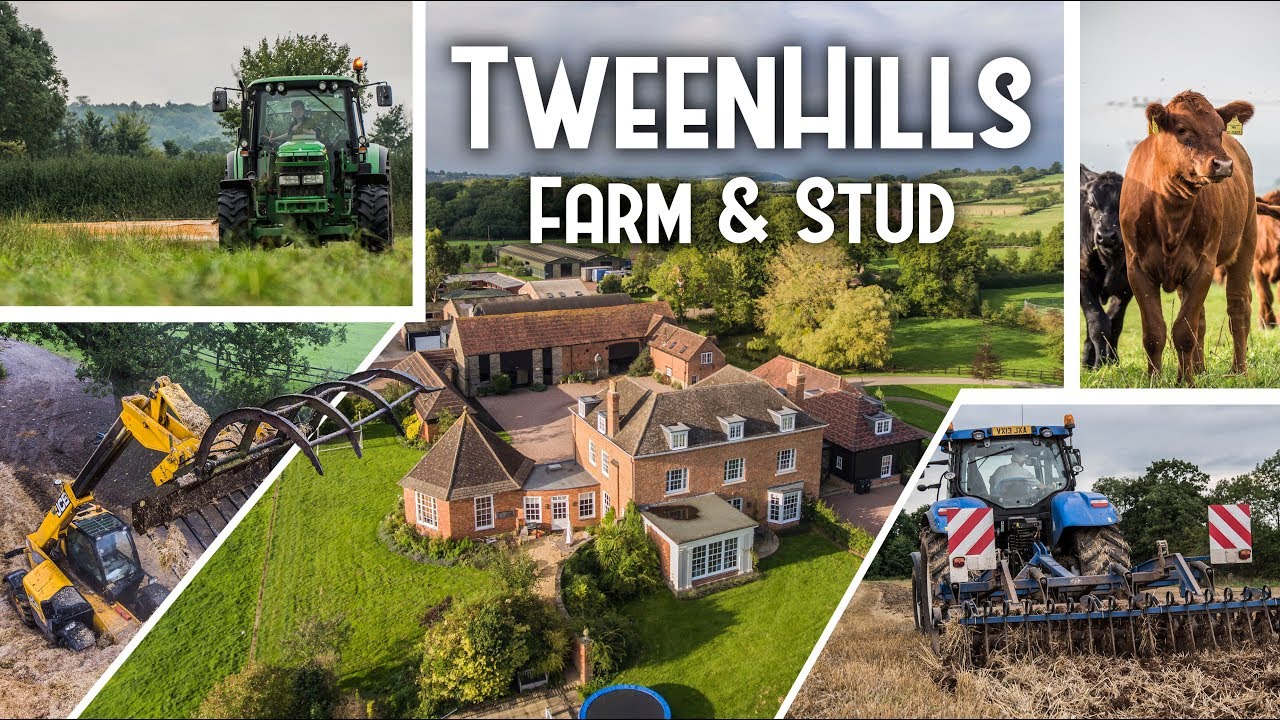 Tweenhills Farm & Stud - Summer Jobs 2017