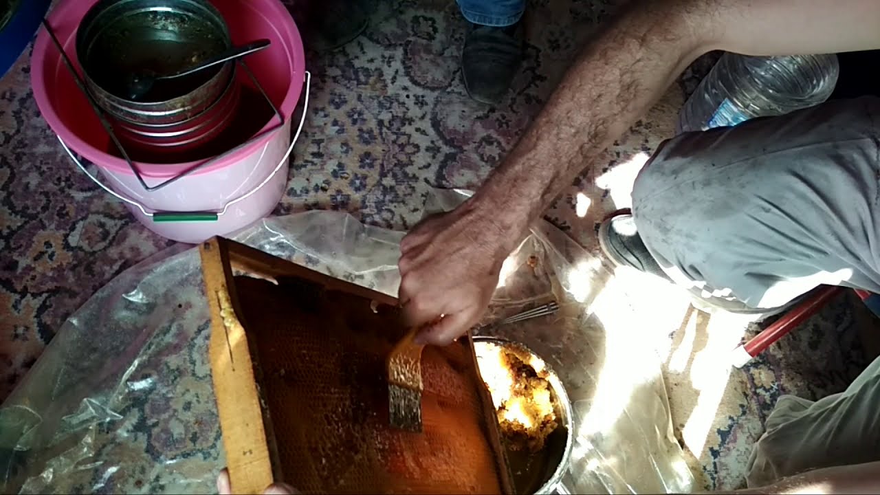 Bal sağımında alınması gereken petekler ve sağımda dikkat edilmesi gereken püf noktalar nelerdir.