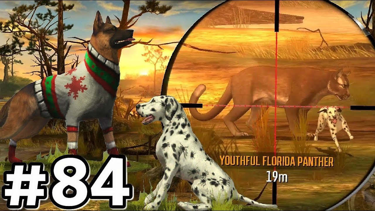 Hunting With EVERY DOG In Region 9 - The Everglades! Deer Hunter 2017 Ep84