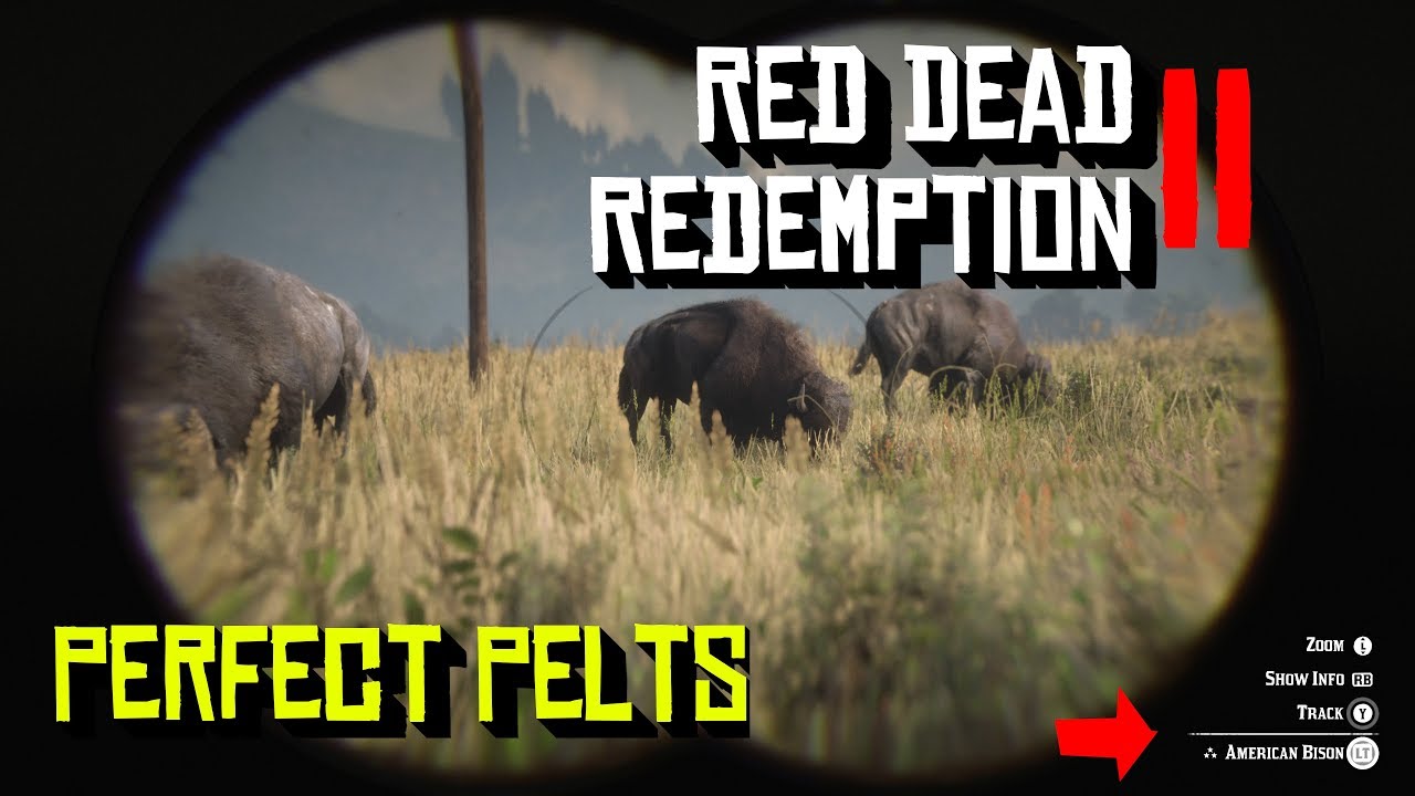 How to get perfect pelts in Red Dead Redemption 2