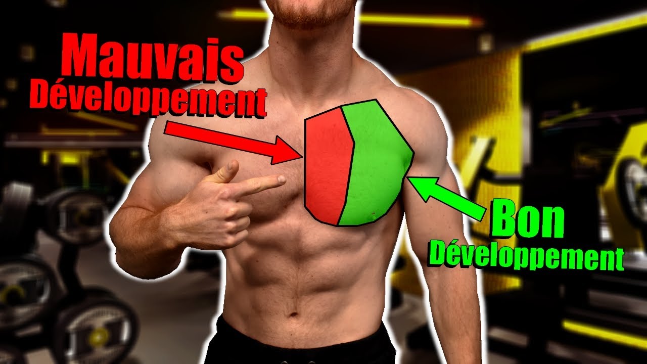 Le Plan Ultime pour Développer L'Intérieur de Tes Pectoraux