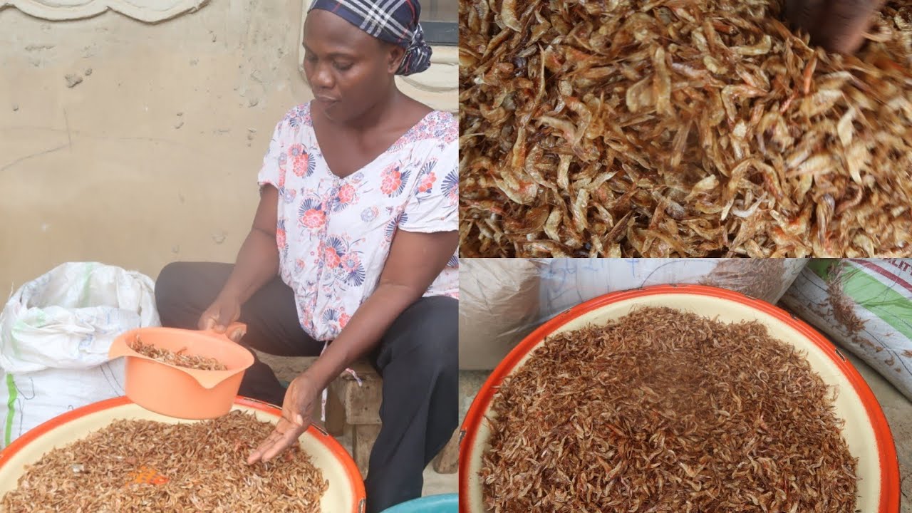 How To Prepare CRAYFISH For Export