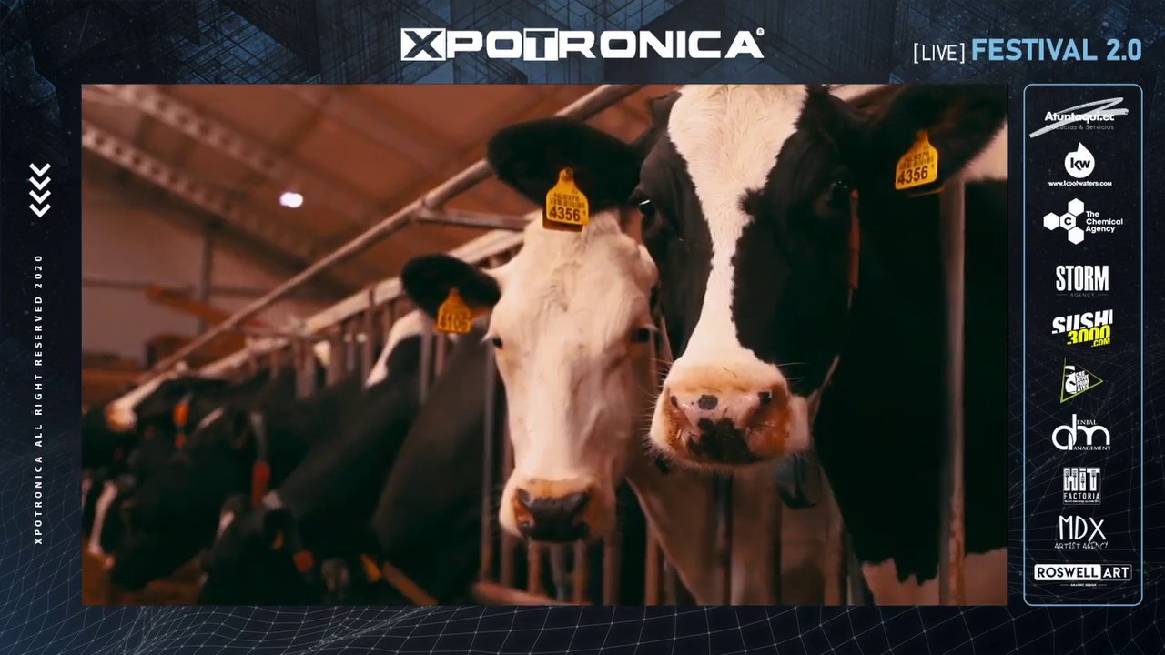 STEFF DA CAMPO LIVE SET