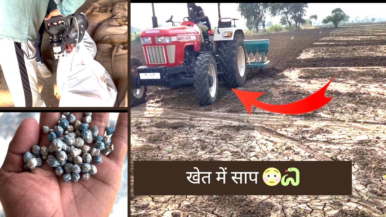 खेत में सॉप 🐍 dollar chane ki boni ki tayyari Swaraj 963 fe #4wdtractor #kheti में