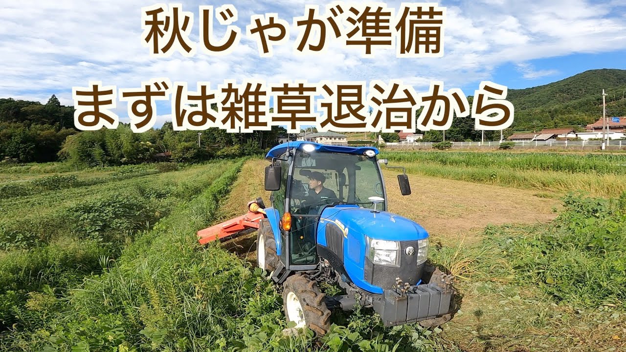 秋じゃが準備2023.9.6#1358