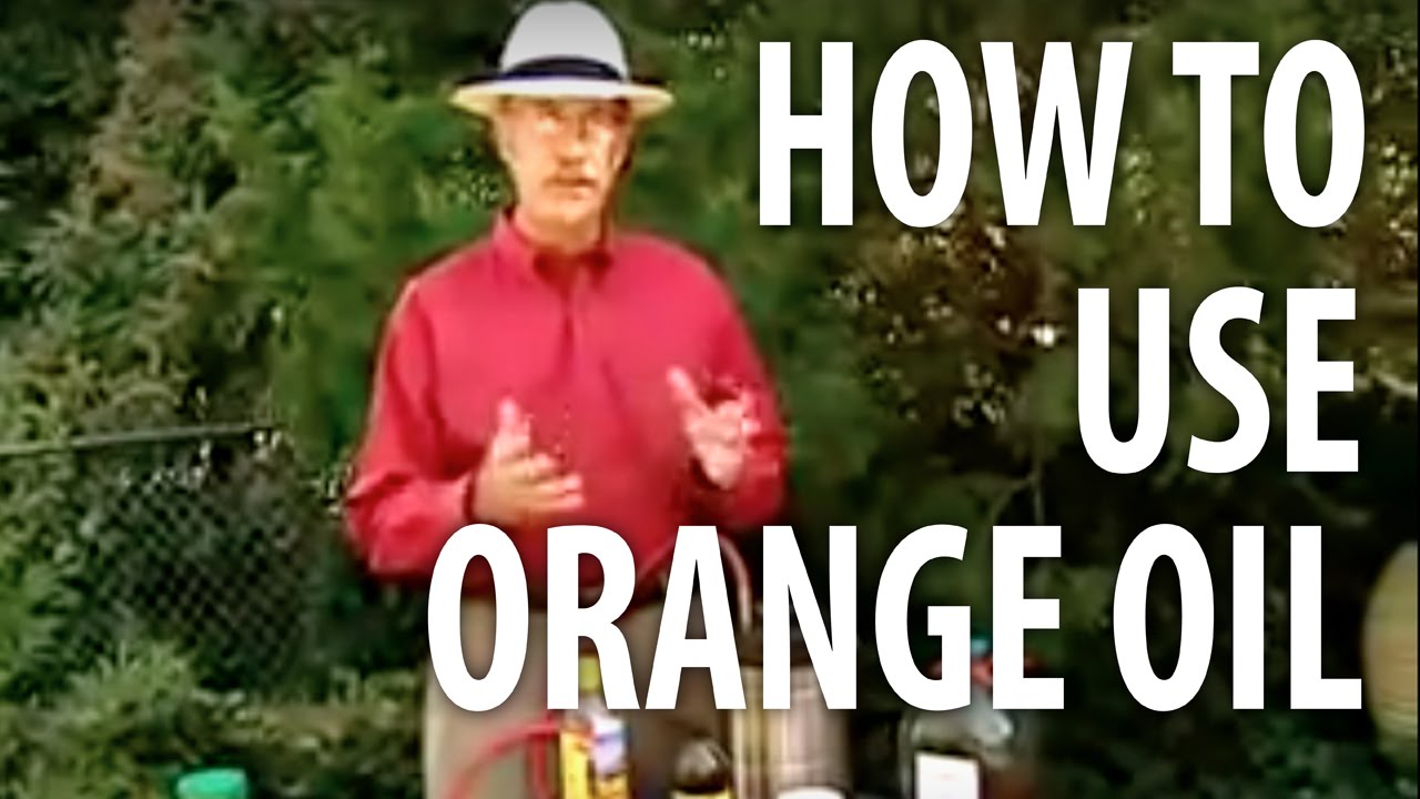 How To Use Orange Oil - The Dirt Doctor