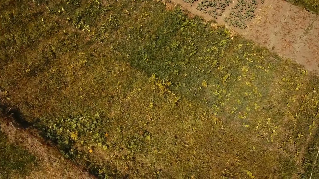 Drought in knysna