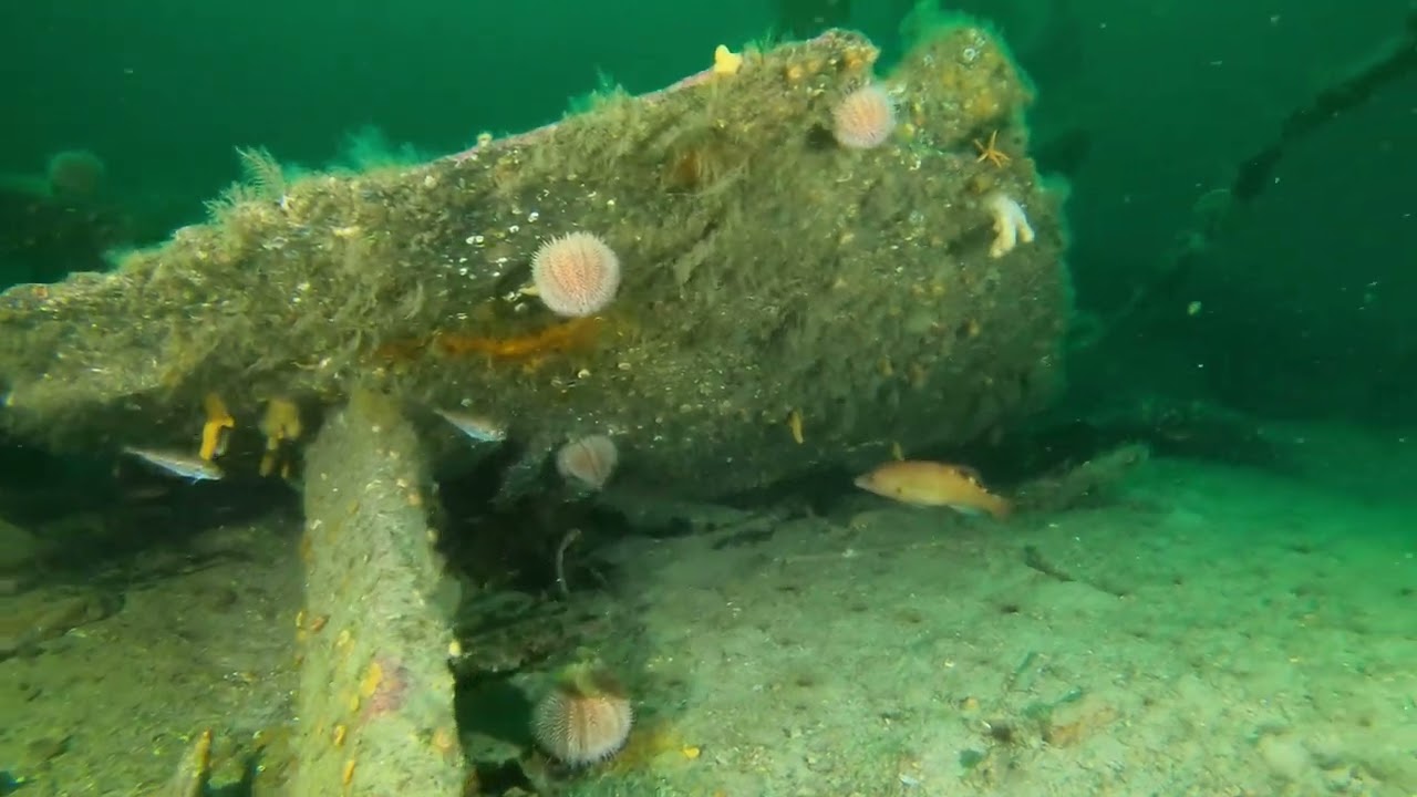 Scapa Flow, UB116 120525