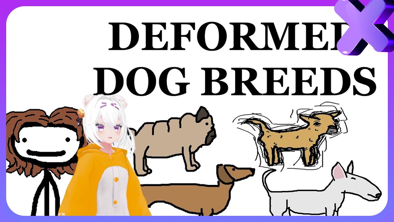 Filian Reacts to Dog Breed Deformities | Sam O'Nella Academy