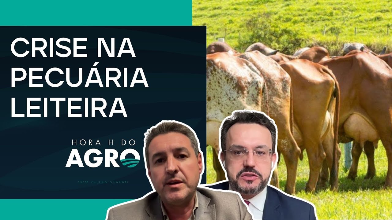 Crise financeira impacta rentabilidade do produtor de leite | HORA H DO AGRO