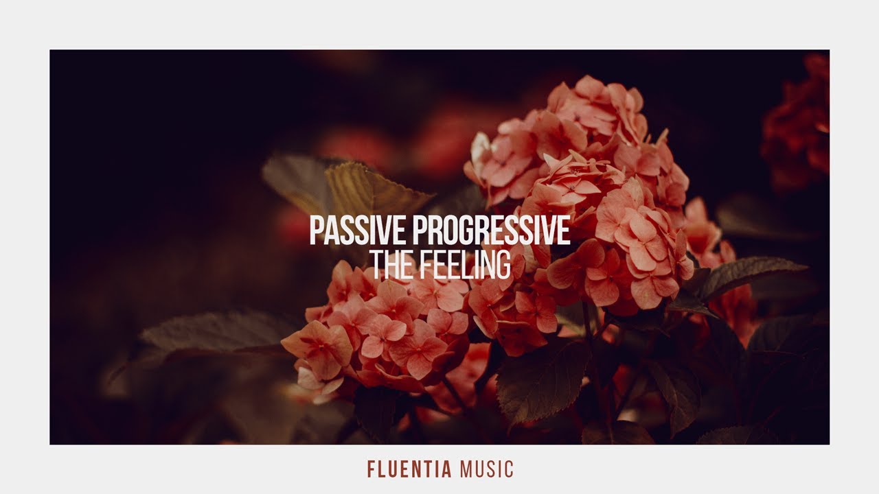 Passive Progressive - The Feeling