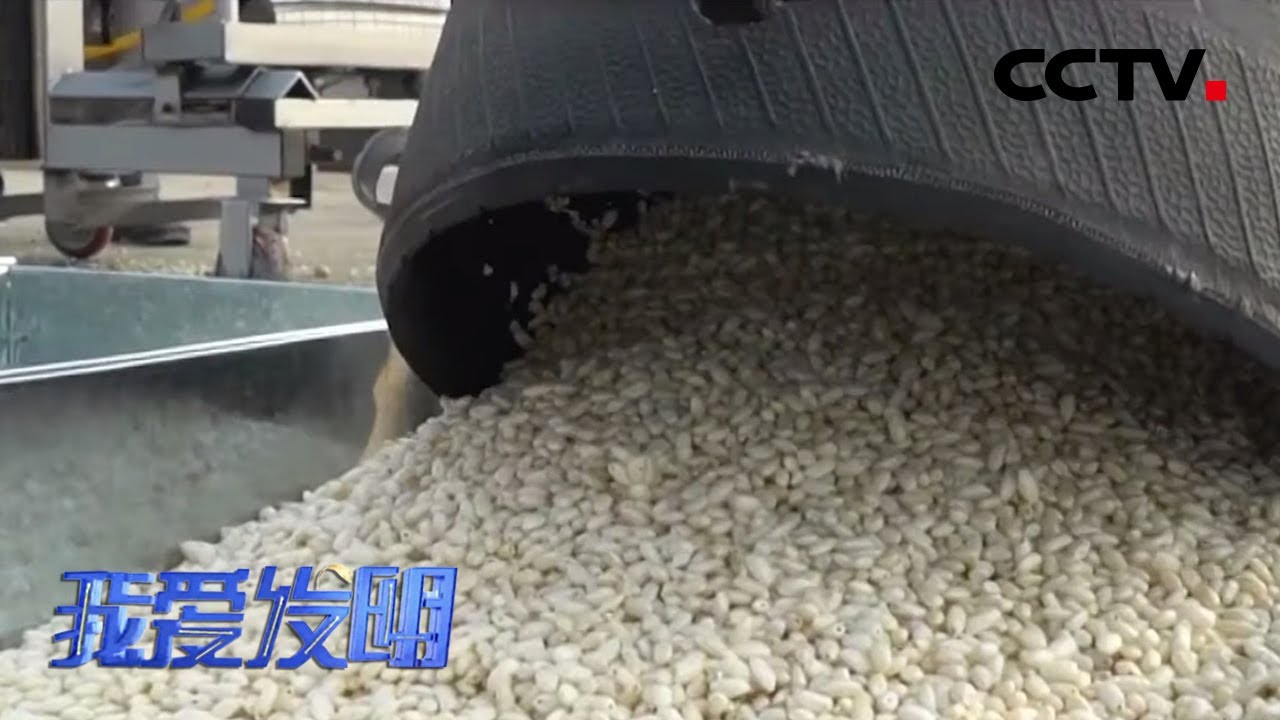 《我爱发明》安全省力的新型爆米花机 20200401 | CCTV农业