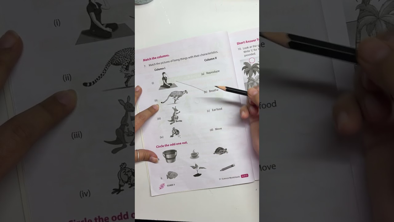 Science worksheet for Class 1 | Living things & Non living things worksheet | #shorts