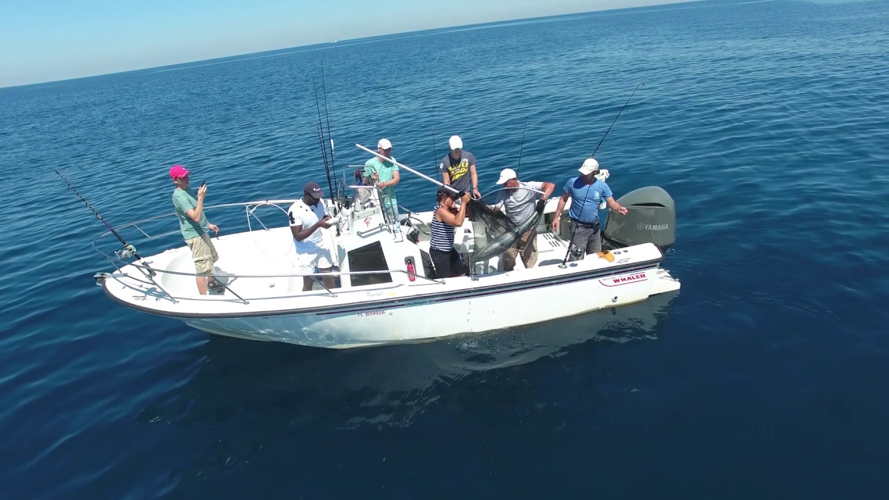 Pêche du Thon Rouge en Méditerranée vu du ciel