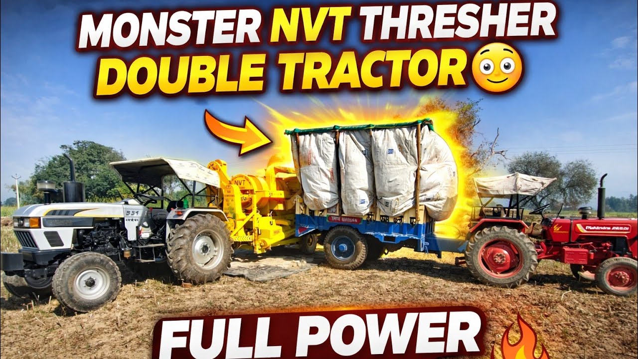 Mustard Threshing Machine Working | Eicher 551 Tractor + NVT Thresher