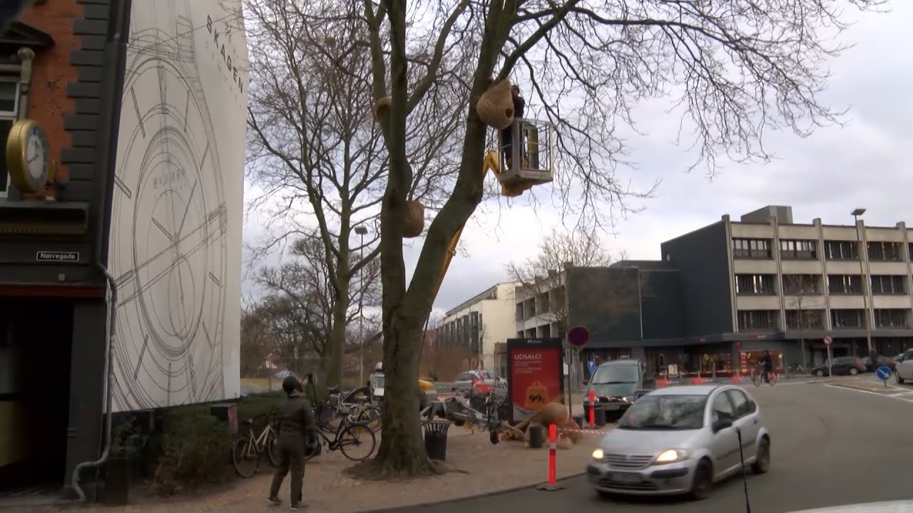 Fuglereder fra gade til by!