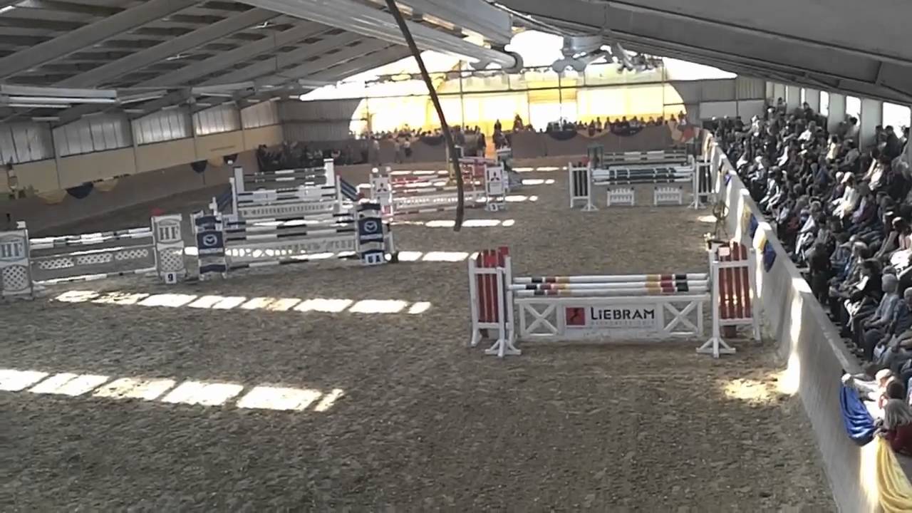 Reitturnier in Wollersleben 2011