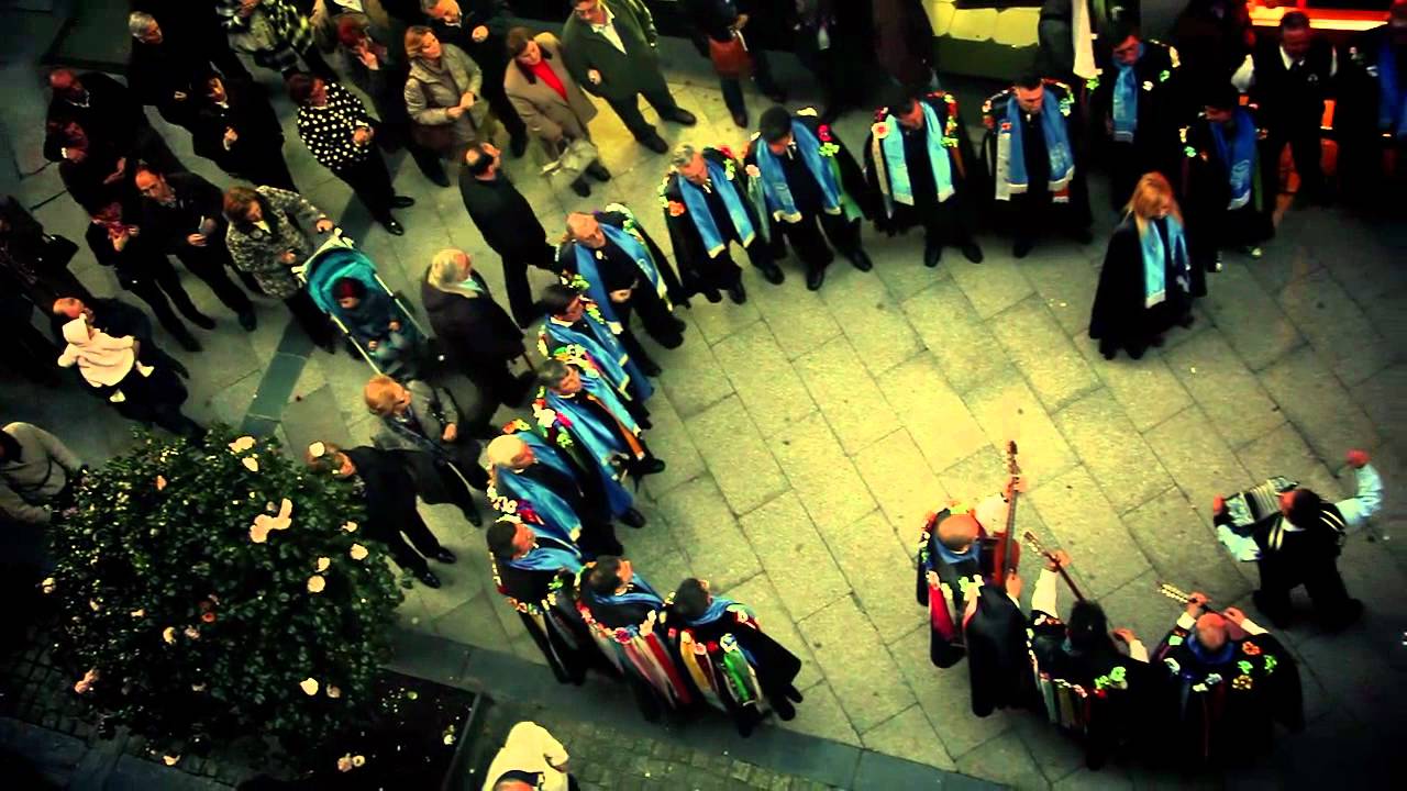 PEPITAS 2011