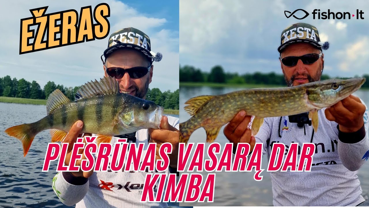 Ežeras | Plėšrūnas vasarą dar kimba