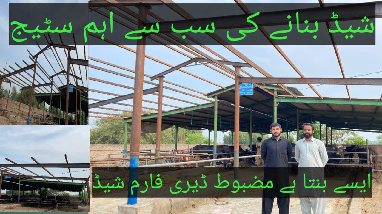 Dairy Farm Shed Strong Frame Construction | Girder & Pipe Welding Full Guide
