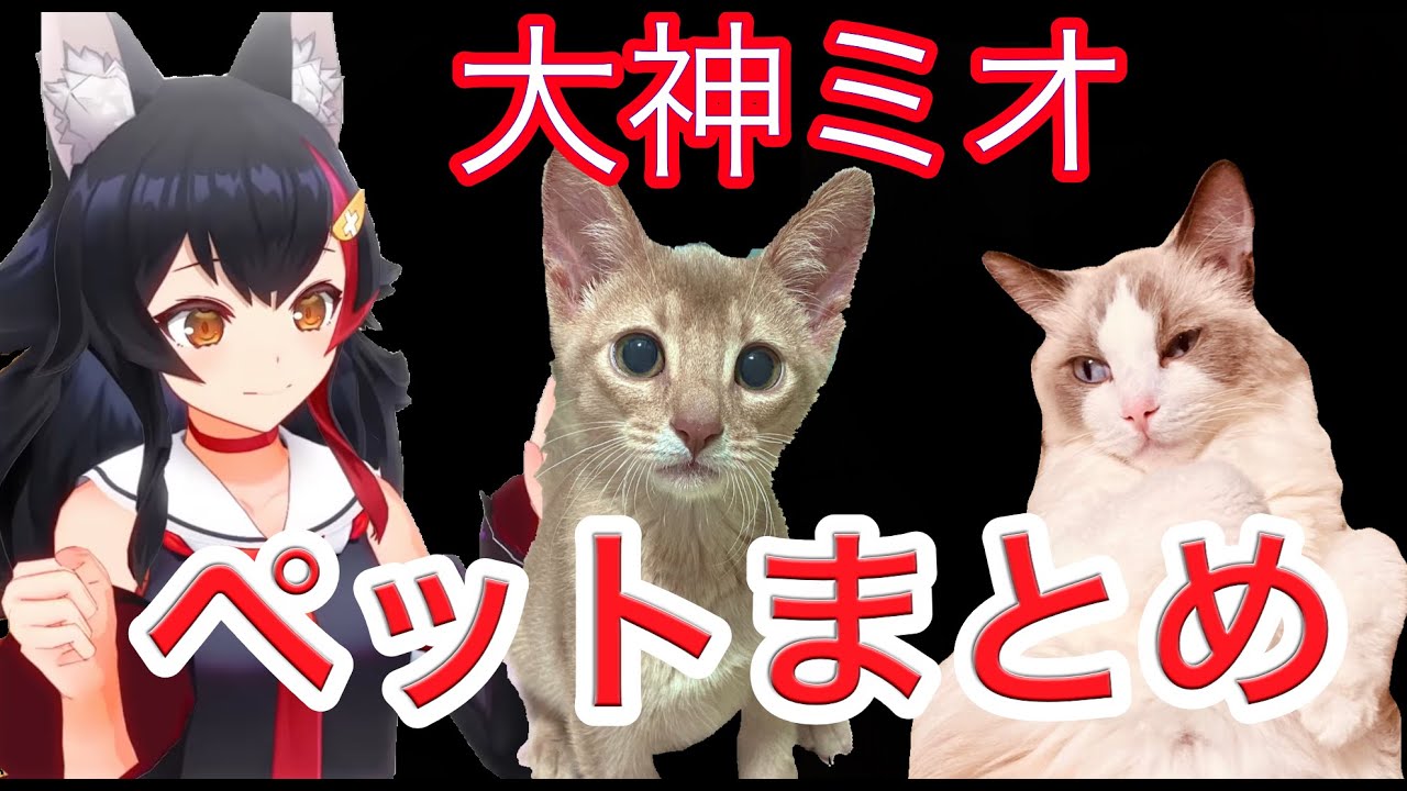 【大神ミオ】ホロメンのペットまとめ【大神ミオ/ホロライブ/切り抜き】