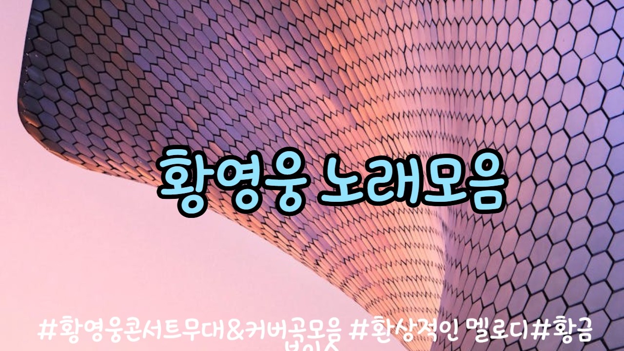 황영웅노래모음