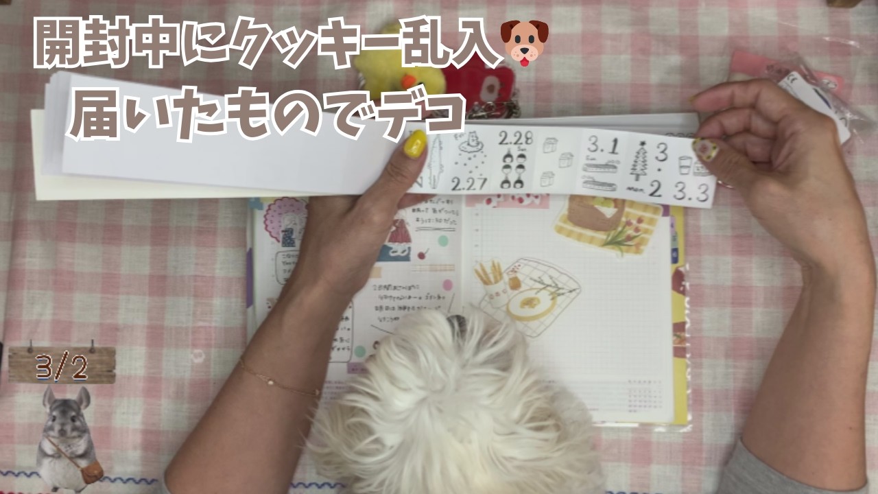 紙もの購入品開封📦そのままデコ日記｜クッキーも登場🐶