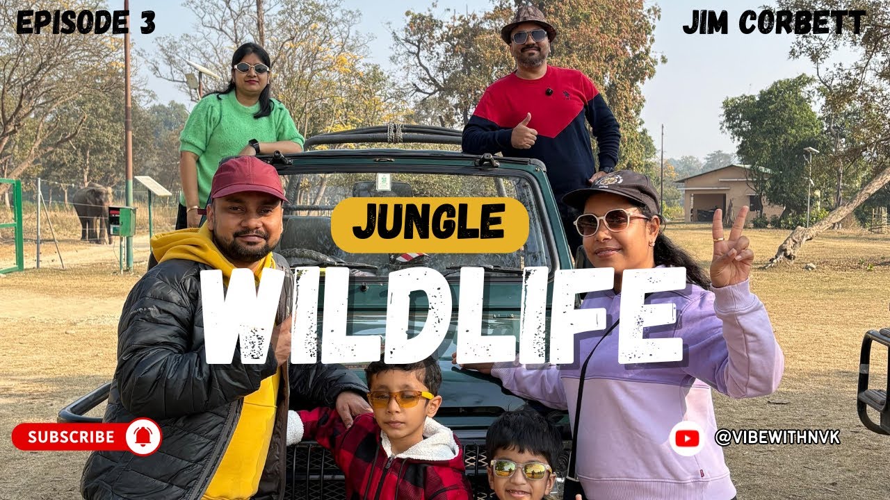 Jim Corbett Jungle Safari Ep 3 | Into the Wild 🌿 #safari #jimcorbett #jungleadventure #ytviralvideo