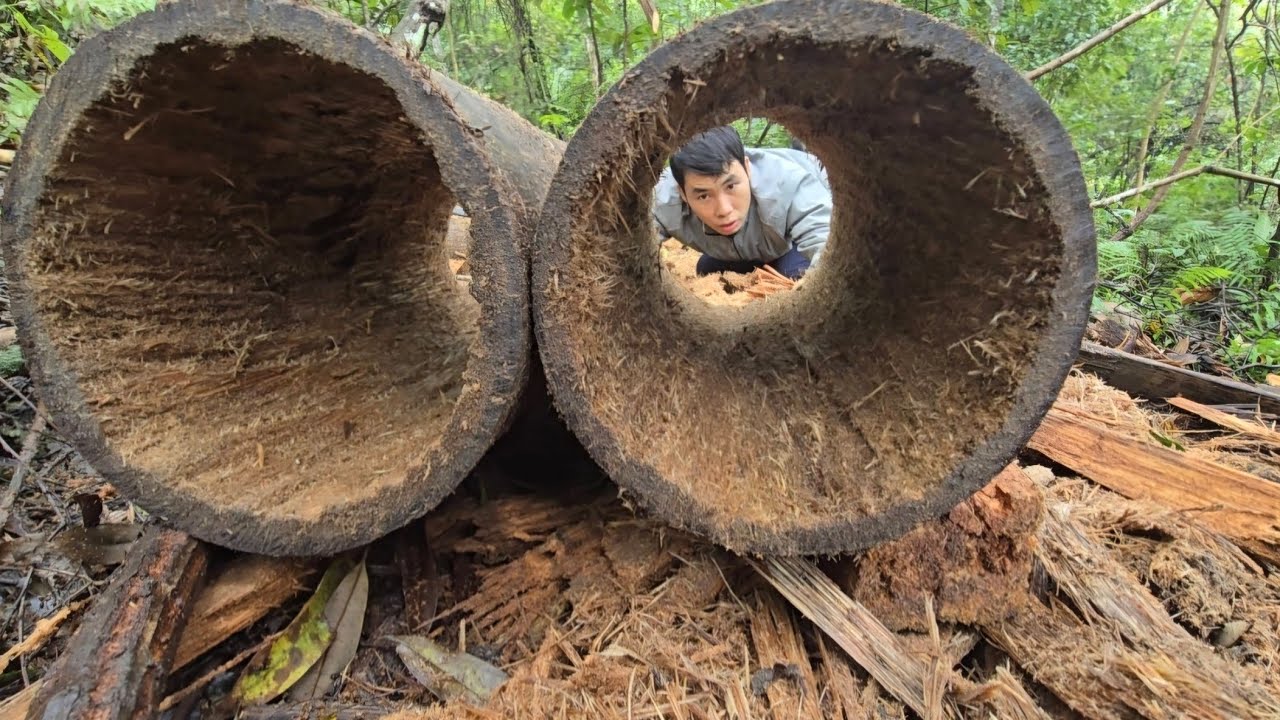 Prepare shelter for natural bees to nest | natural life (part 1)