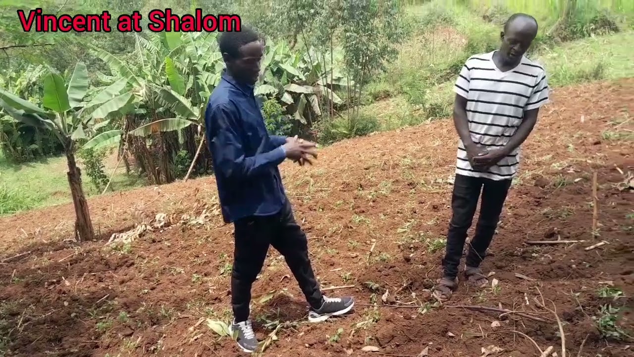 Is This Land Enough To Feed The Children of Shalom Friends Orphans Home???