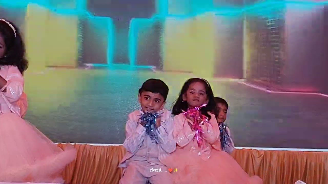 DVD school function 