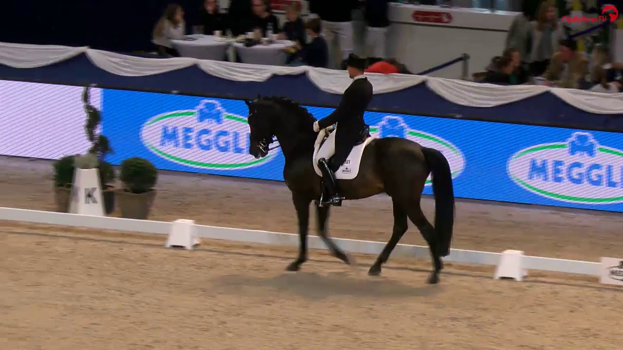 Matthias Bouten | Meggle Grand Prix Kür | MUNICH INDOORS 2019