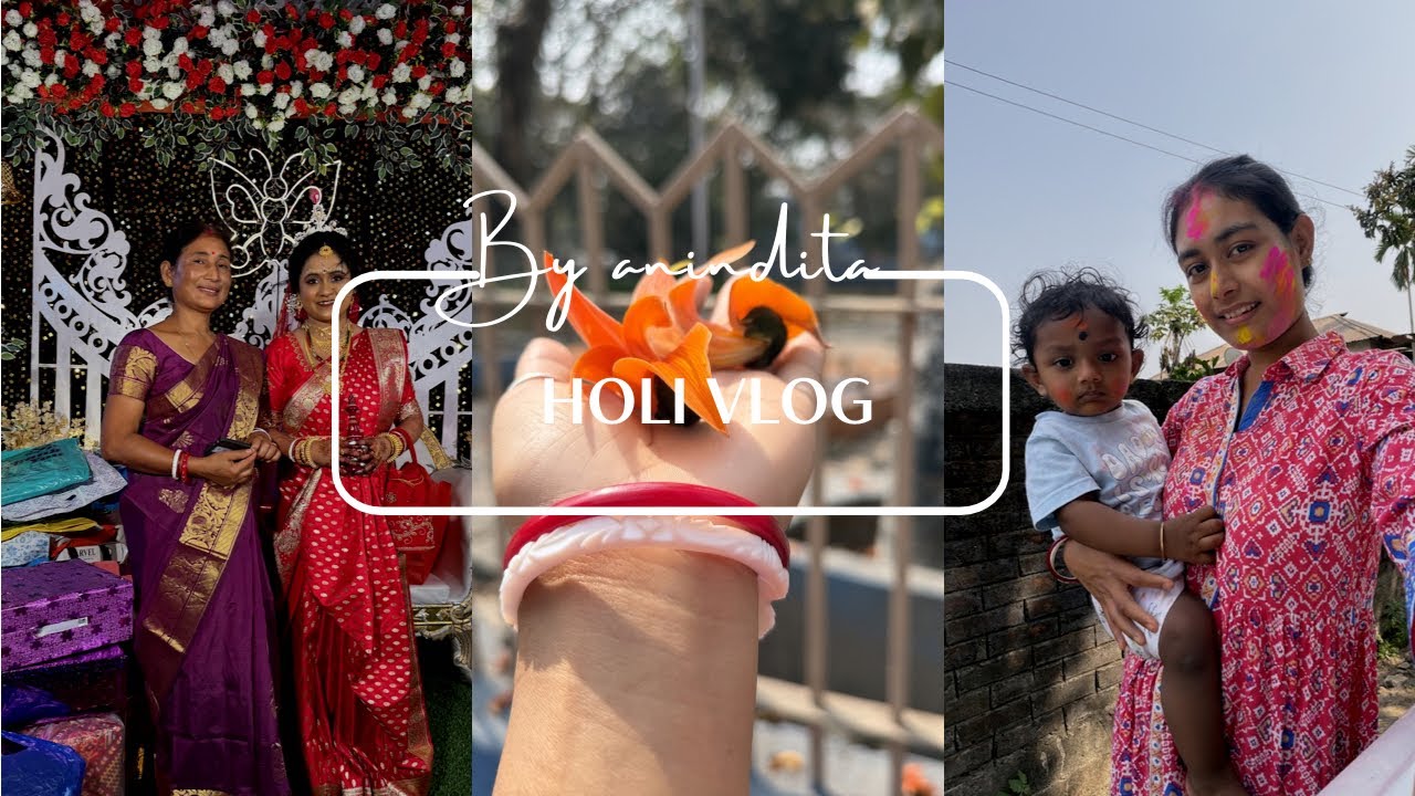 Holi vlog 🤪 | বিয়ের অনুষ্ঠানে গিয়েছিলাম | 