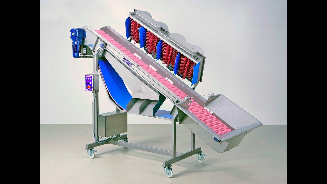 Scharfenberger Euroselect Grape Destemmer with Table Grapes