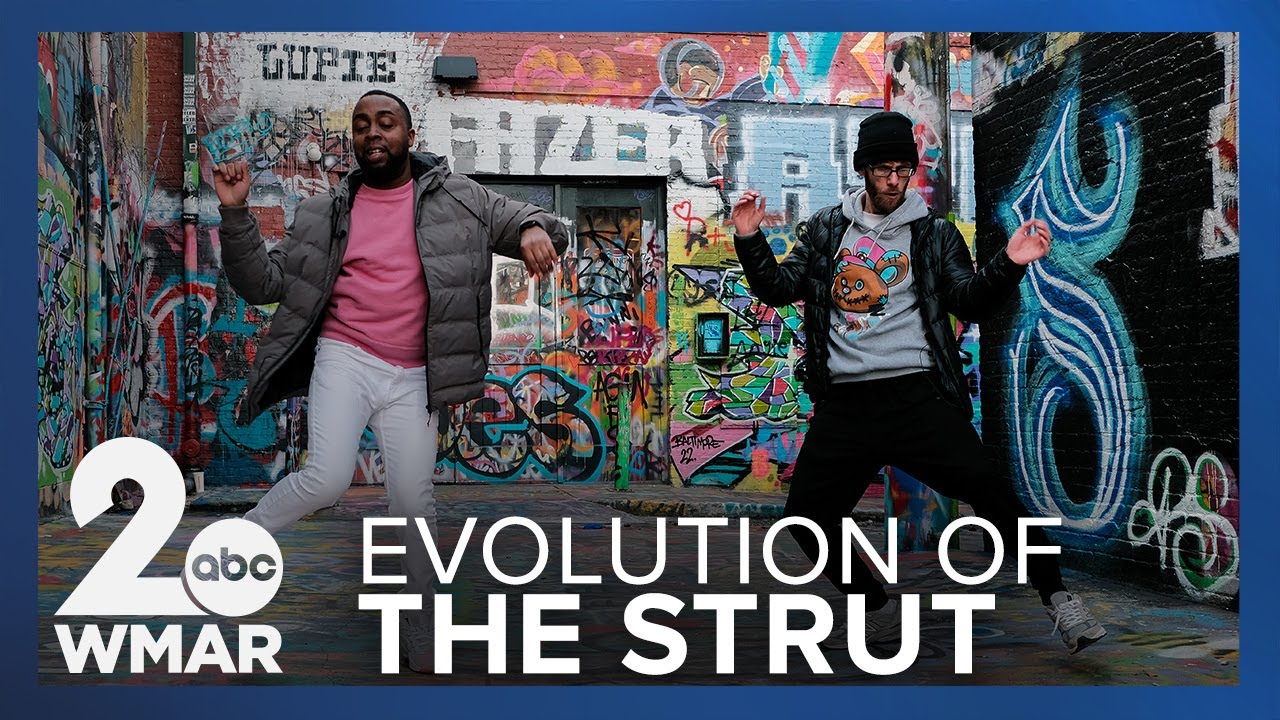 Evolution of the Park Heights Strut