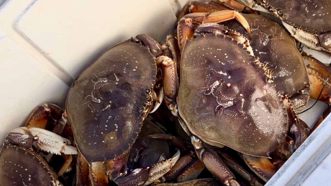 Crabbing on the Oregon Coast