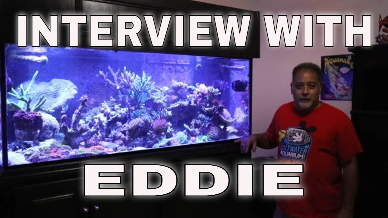 Saltwater Aquarium Tank Tour/Interview with EDDIE