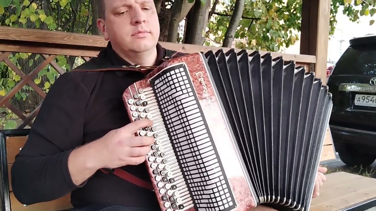 Только этого мало (Вот и лето прошло) на баяне #ротару  #лето #баян