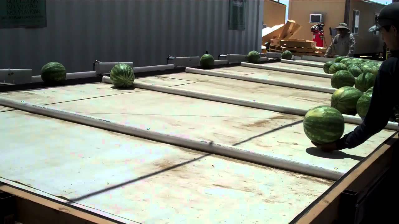 Watermelon Sorter.mp4