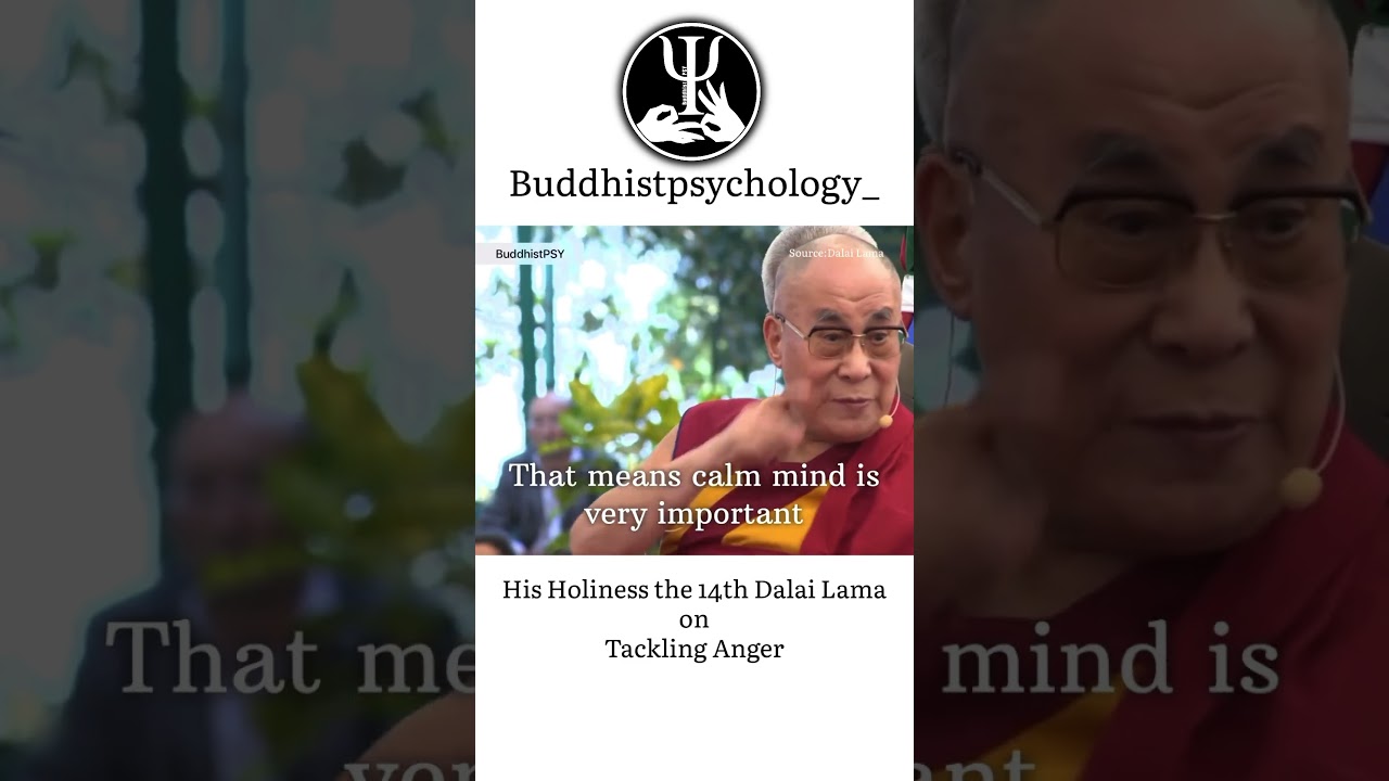 How to tackle anger by His Holiness. #buddhistpsychology #dalailama #motivation #buddha #peace