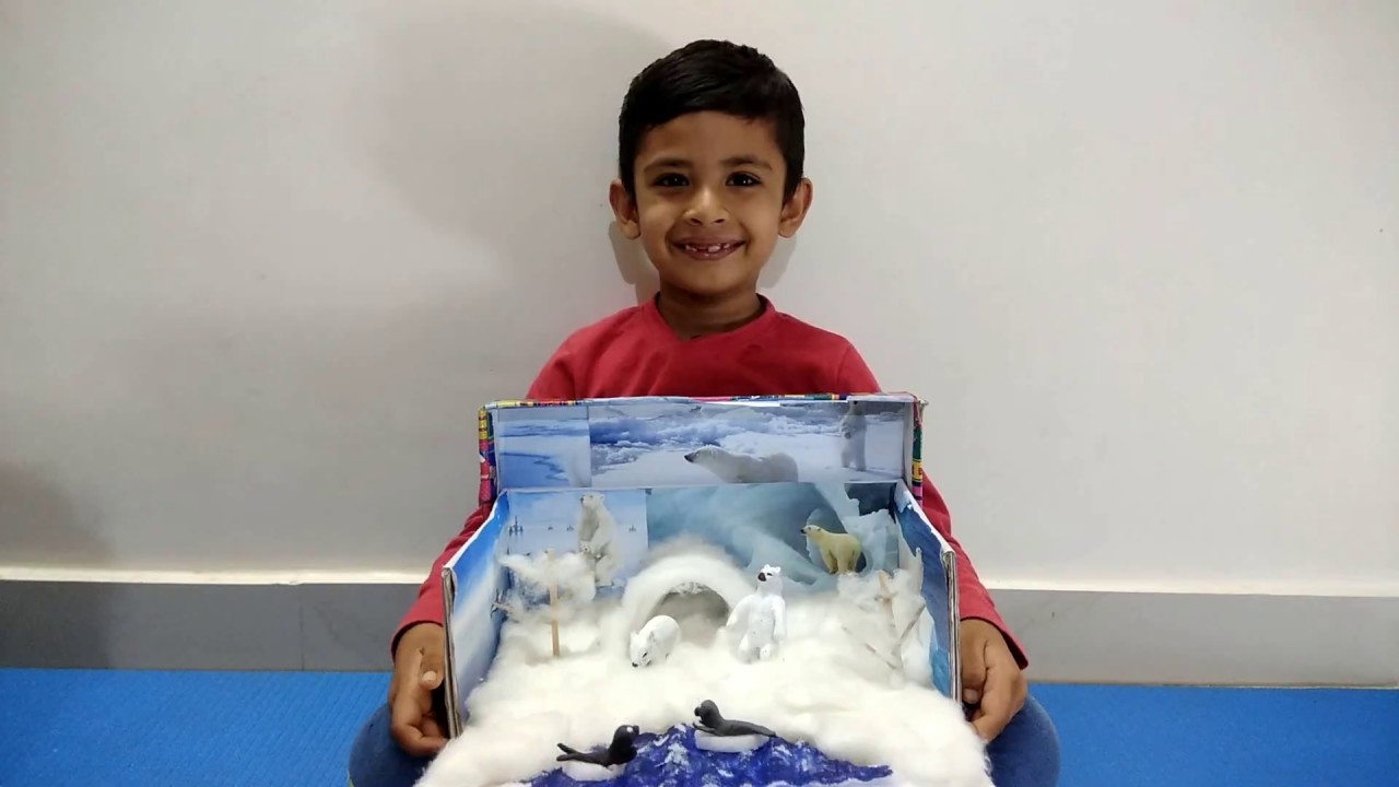 Beautiful POLAR BEAR HABITAT PROJECT made for school activity