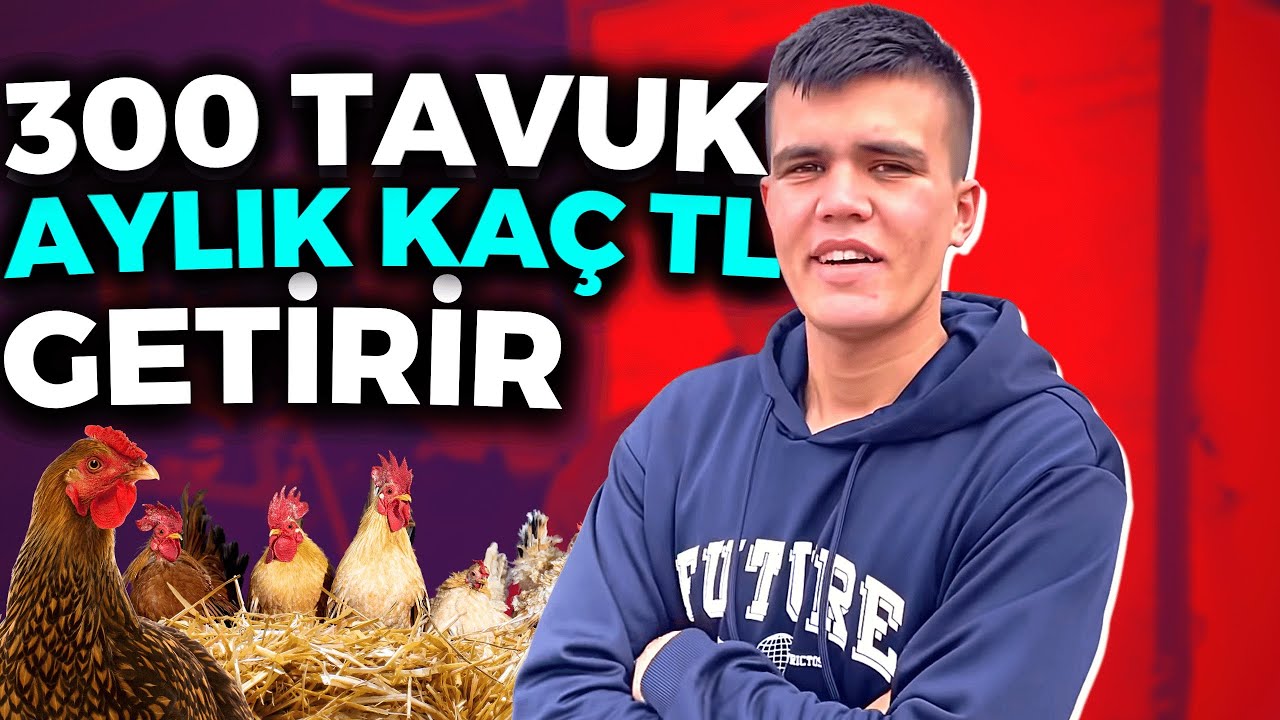 300 TAVUK AYLIK KAÇ PARA KAZANDIRIR ? 17.500 ₺’ye Kendi İşinin Patronu Ol 2