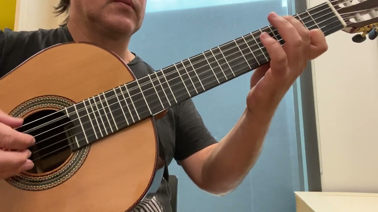 'Minimum Brain Size'' by King Gizzard and the Lizard Wizard | Classical Microtonal Guitar